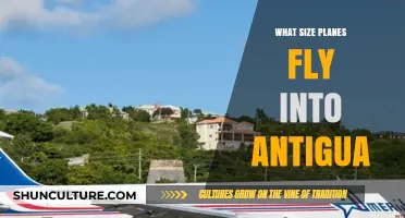 Discovering the Plane Sizes Flying into Antigua's V.C. Bird Airport