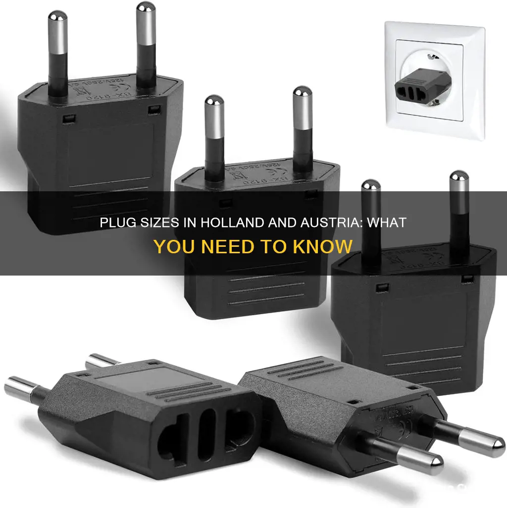 what size plug is used in holland and austria