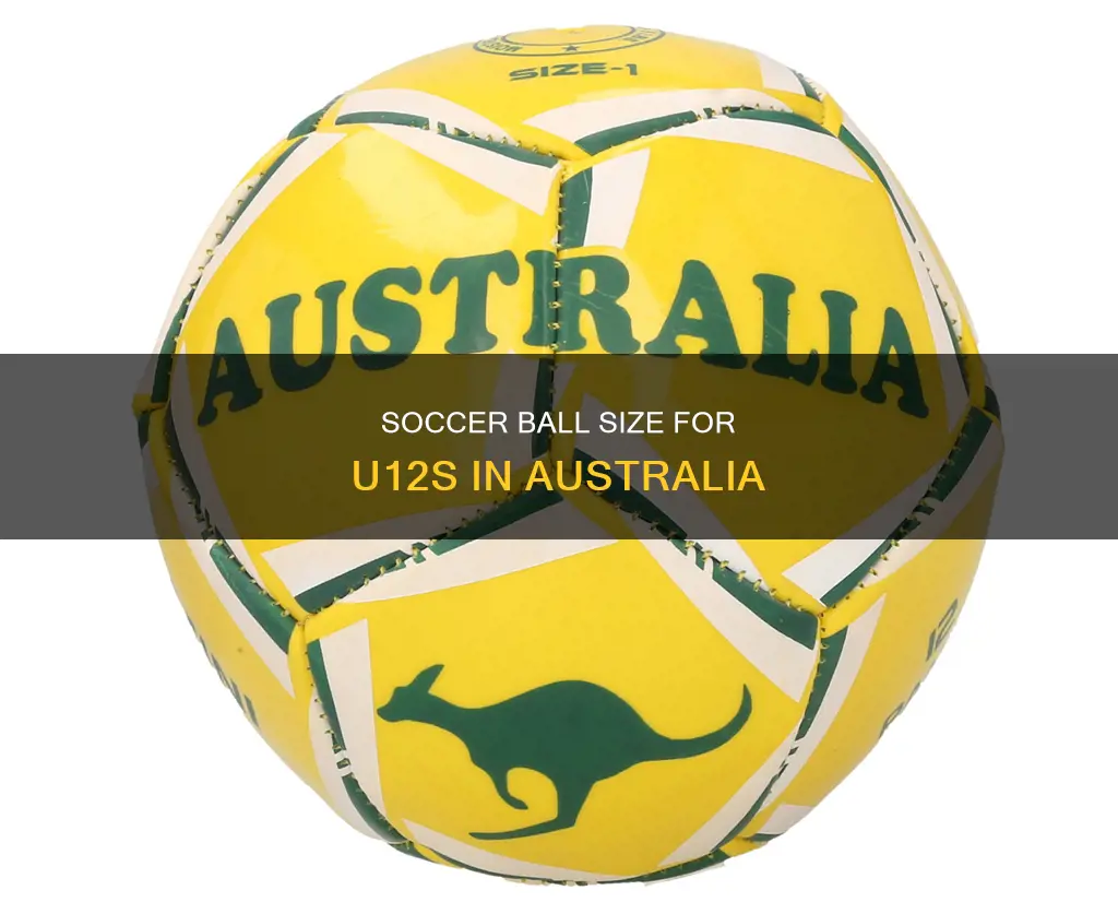what size soccer ball for u12 in australia