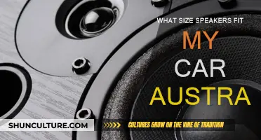 Speaker Sizing for Your Car: Australia Edition