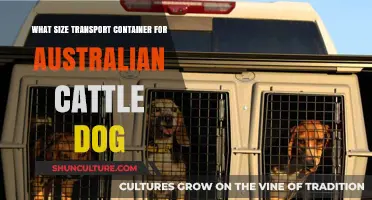 Transport Container Sizing for Australian Cattle Dogs