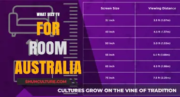 Best TV Size for Your Room in Australia