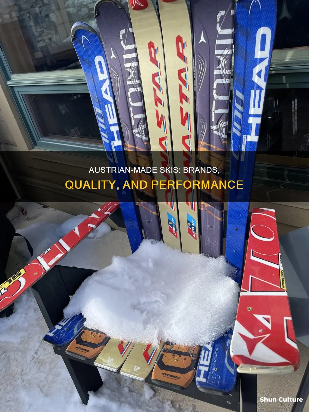 what skis are made in austria