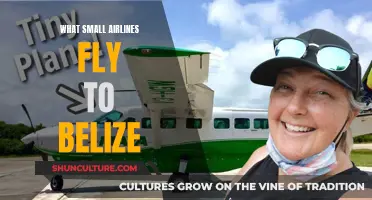 Small Airlines, Big Belize Adventure