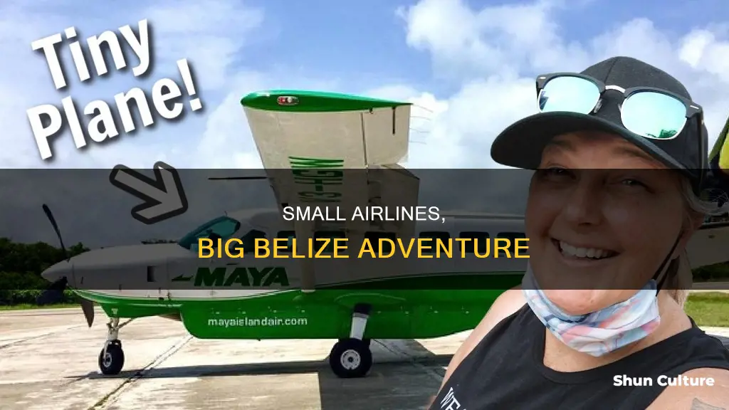 what small airlines fly to belize