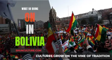 Bolivia's Current Affairs: An In-Depth Exploration