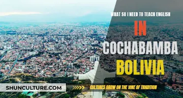 Teaching English in Cochabamba, Bolivia: Requirements and More