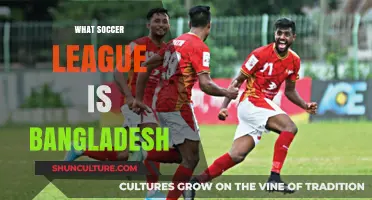 Exploring Bangladesh's Soccer League: Structure, Teams, and Competitions