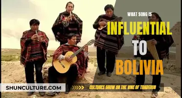 The Soulful Influence of Music in Bolivian Culture