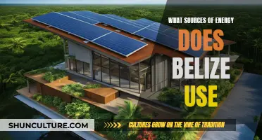 Belize's Energy Mix