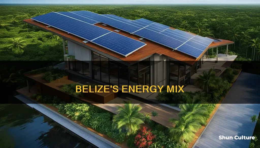 what sources of energy does belize use