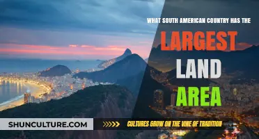 Exploring South America's Giant: Which Nation Boasts the Largest Land Area?
