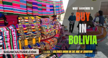 Best Bolivian Buys: Unique Souvenirs to Take Home