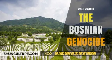 Unraveling the Complex Origins of the Bosnian Genocide: A Historical Analysis