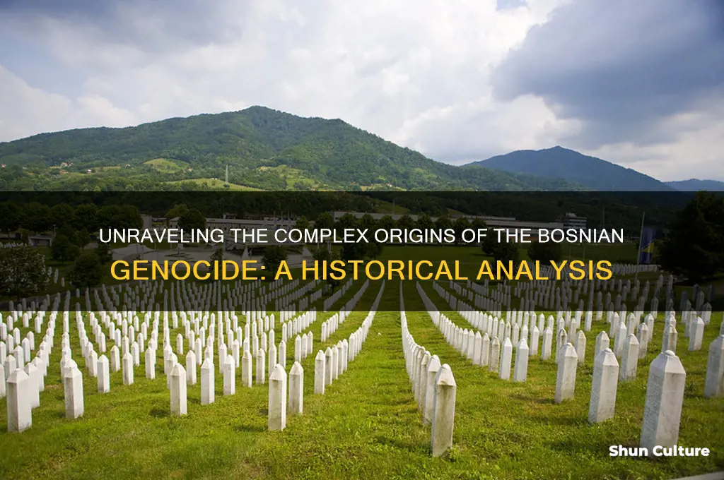 what sparked the bosnian genocide