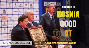 Bosnia's Sporting Excellence: Uncovering the Nation's Top Athletic Achievements