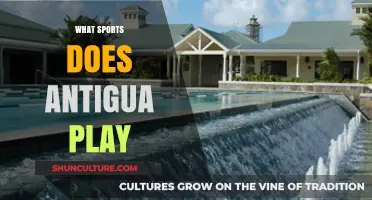 Discover Antigua's Favorite Sports: A Guide to Local Athletic Passions