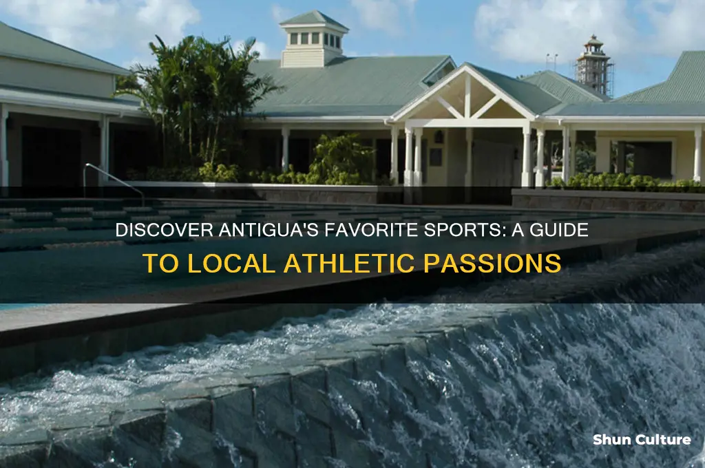 what sports does antigua play