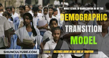 Bangladesh's Demographic Transition: Current Stage and Future Implications