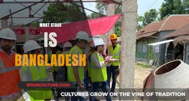 Bangladesh's Development Journey: Assessing Current Stage and Future Prospects