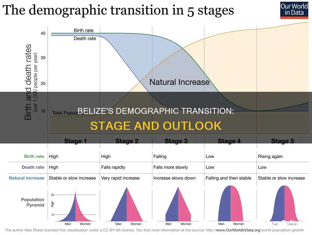 what stage is belize in the demographic transition model