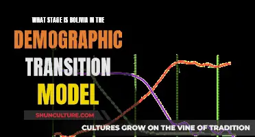 Bolivia's Demographic Transition Stage: An In-Depth Analysis