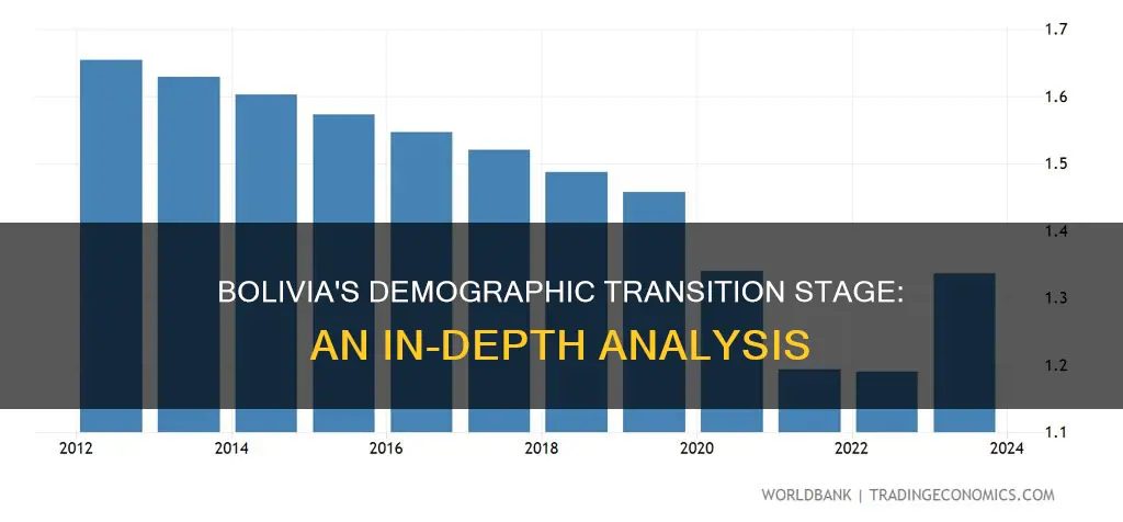 what stage is bolivia in the demographic transition model