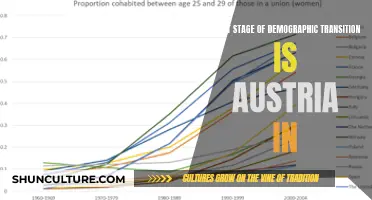 Austria's Demographic Journey: Understanding Its Stage of Transition