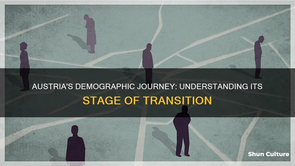 what stage of demographic transition is austria in