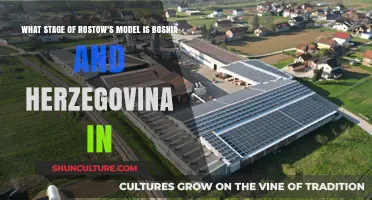 Bosnia and Herzegovina's Economic Stage in Rostow's Model Explored