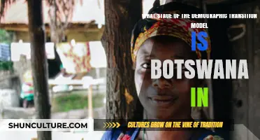 Botswana's Demographic Transition: Analyzing Its Current Stage and Implications