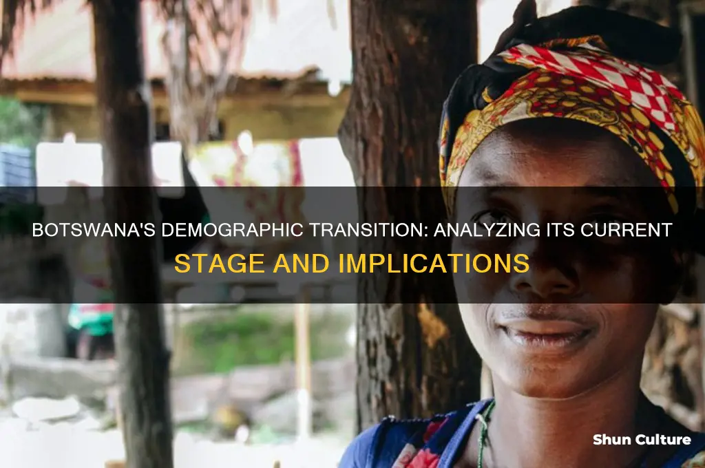 what stage of the demographic transition model is botswana in