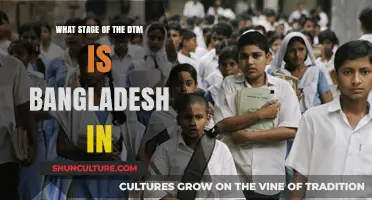 Bangladesh's Demographic Transition: Current Stage and Future Projections