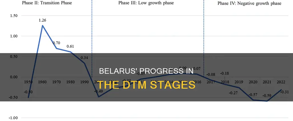 what stage of the dtm is belarus in