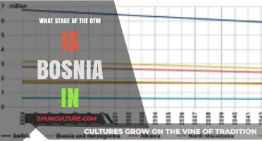 Bosnia's Demographic Transition: Analyzing Its Current Stage in the DTM
