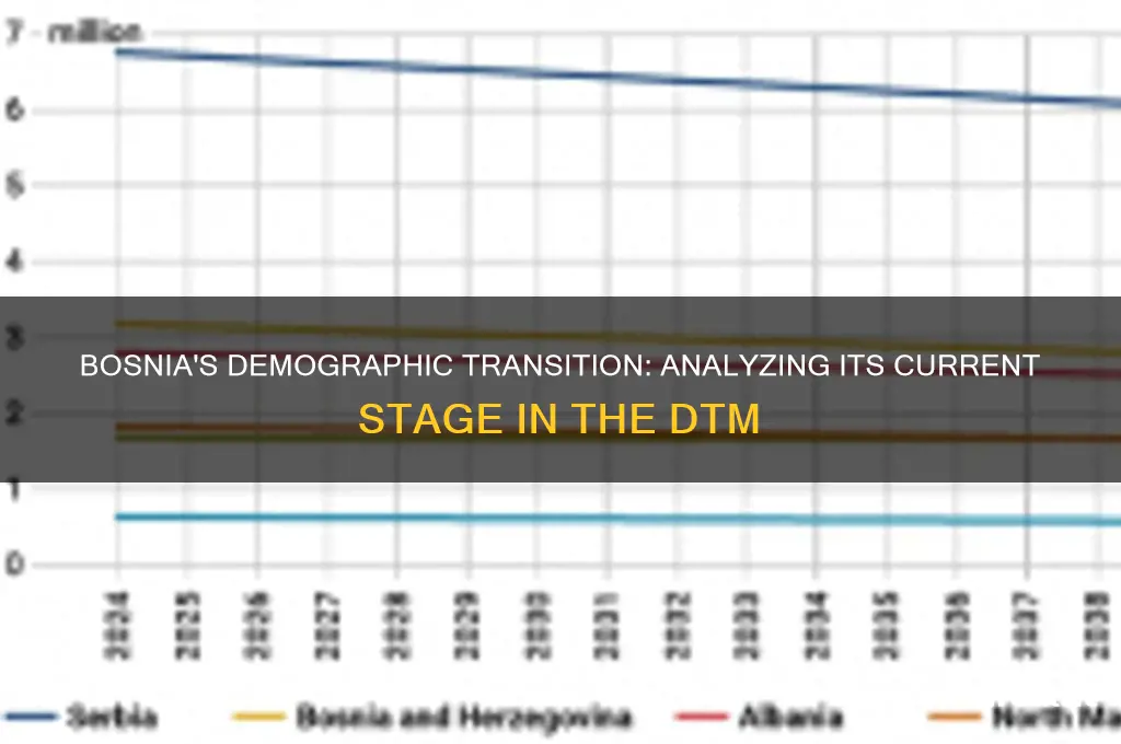 what stage of the dtm is bosnia in