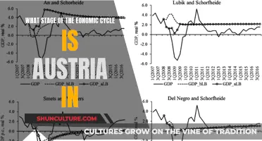 Austria's Economic Cycle: Navigating Current Trends and Future Projections