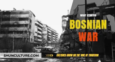 The Spark of Conflict: Unraveling the Origins of the Bosnian War