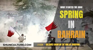 Bahrain's Uprising: The Spark that Ignited the Arab Spring