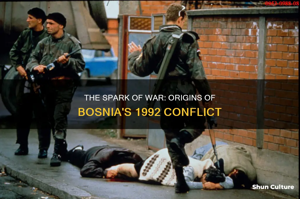 what started the bosnian conflict of 1992