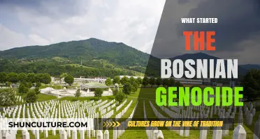 The Spark of Tragedy: Unraveling the Origins of the Bosnian Genocide