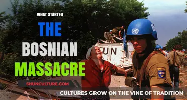 The Spark of Tragedy: Unraveling the Origins of the Bosnian Massacre