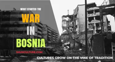 The Spark of Conflict: Unraveling Bosnia's War Origins