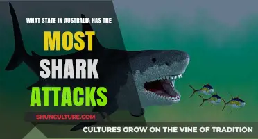 Shark Attacks in Australia: Which State Leads?
