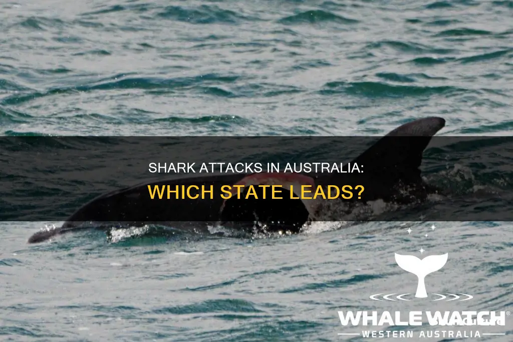 what state in australia has the most shark attacks