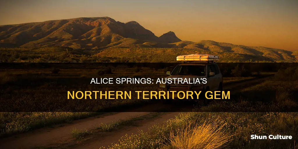 what state is alice springs australia in