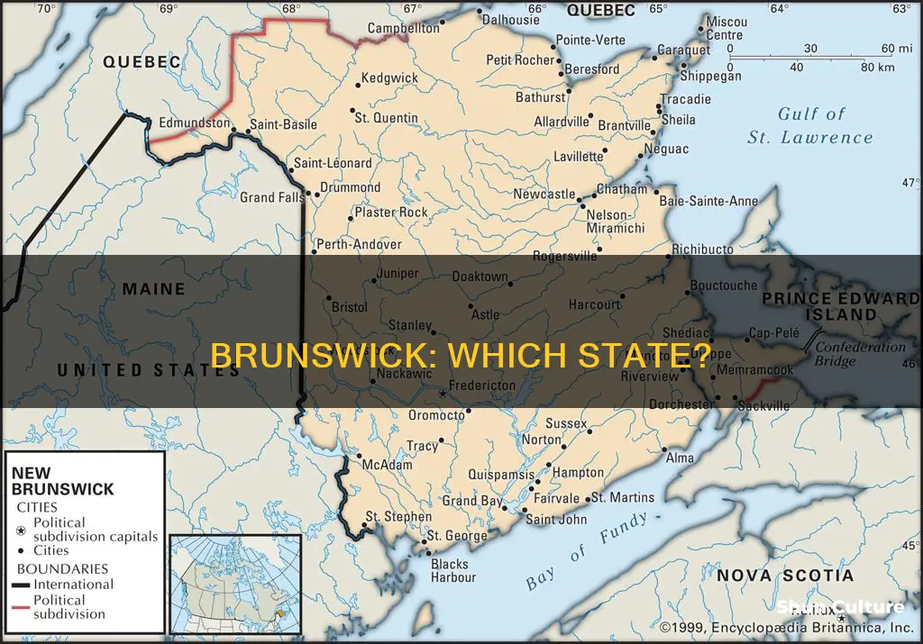 what state is brunswick in