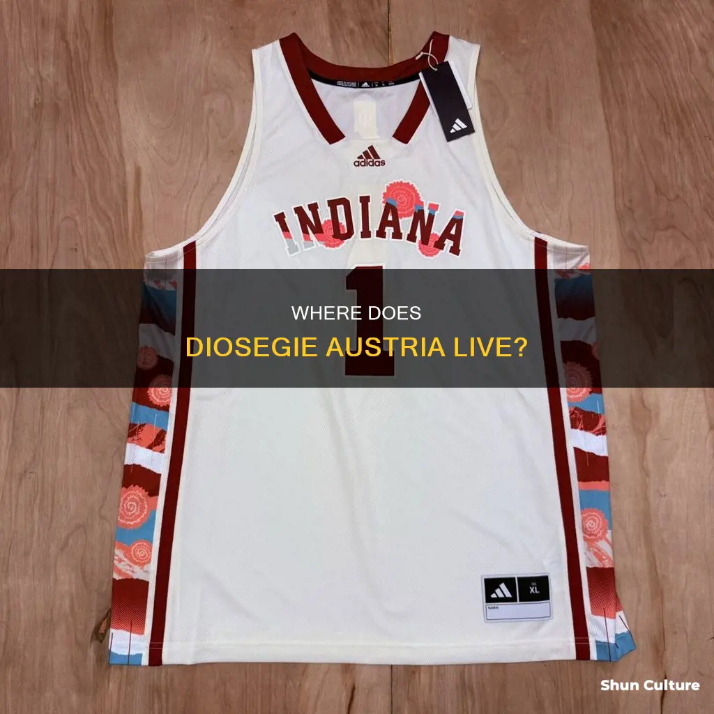 what state is diosegie austria in