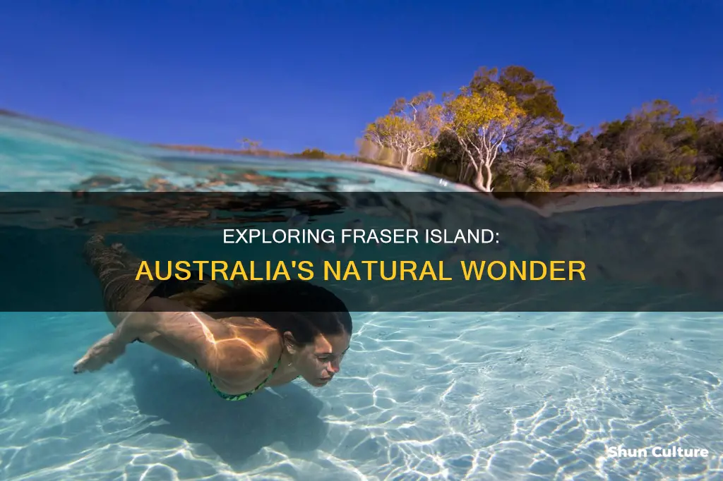what state is fraser island australia in