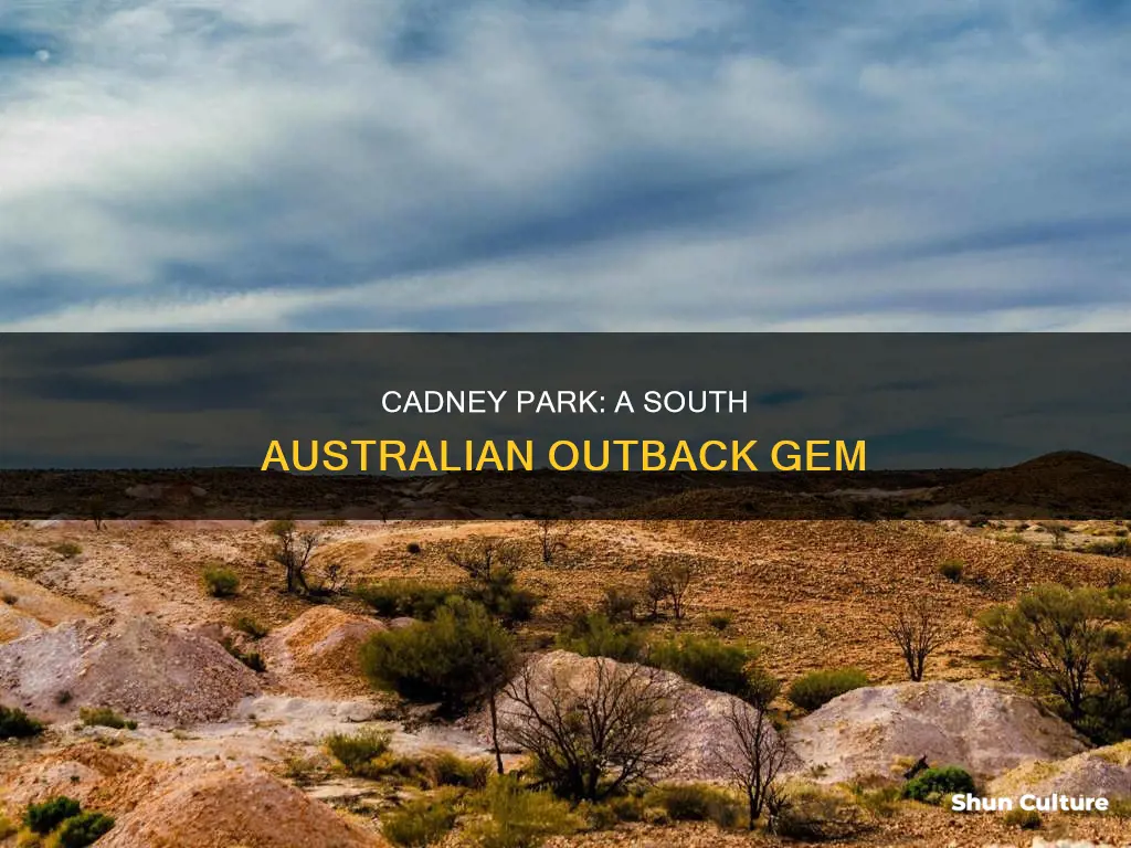 what state is is cadney park australia